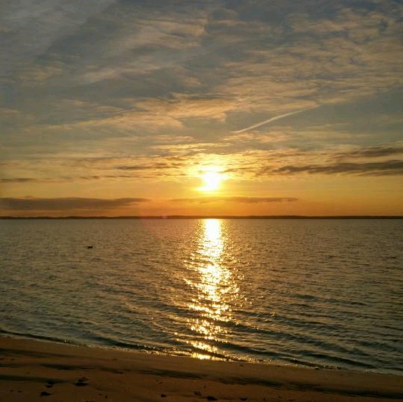 Meet your Posher, Monica - Picture 1 of 1